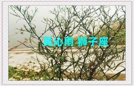 吴沁雨 狮子座